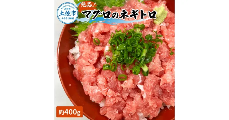 【ふるさと納税】絶品！マグロのネギトロ 約400g 約3~4人前 薬味・しょうゆ付き まぐろ 鮪 ねぎとろ 魚介 海鮮 海鮮丼 お寿司 おかず おつまみ 惣菜 ご自宅用 おいしい お取り寄せ 冷蔵 配送 高知県 高知 土佐市 ふるさとのうぜい 故郷納税 返礼品