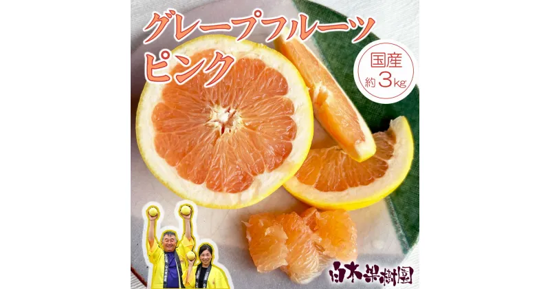 【ふるさと納税】先行予約 国産グレープフルーツ スタールビー 約3kg （7～10個入り）【果樹園直送】グレープフルーツ 果物 柑橘 フルーツ みかん おやつ 常温 期間限定 先行受付 高知県土佐市 お取り寄せ 産地直送 白木果樹園 ふるさとのうぜい 故郷納税 返礼品