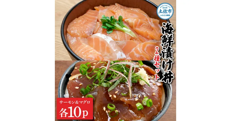 【ふるさと納税】土佐の海鮮漬け丼（サーモン・まぐろ）各10袋セット 1パック60g 漬け丼 海鮮丼 マグロ丼 サーモン丼 鮪 まぐろ おかず おつまみ 惣菜 魚 魚介類 海鮮 個包装 小分け 真空パック 簡単 お取り寄せ 冷凍 配送 故郷納税 ふるさとのうぜい 返礼品 高知県 土佐市