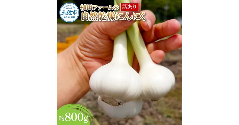 【ふるさと納税】訳あり 植田ファームの自然乾燥にんにく800g 800グラム ニンニク ガーリック お酒 料理 醤油漬け ガーリックオイル ペペロンチーノ パスタ スパゲッティ ワケアリ 家庭用 ご自宅用 常温 冷蔵 配送 高知県 高知 土佐市 ふるさとのうぜい 故郷納税 返礼品