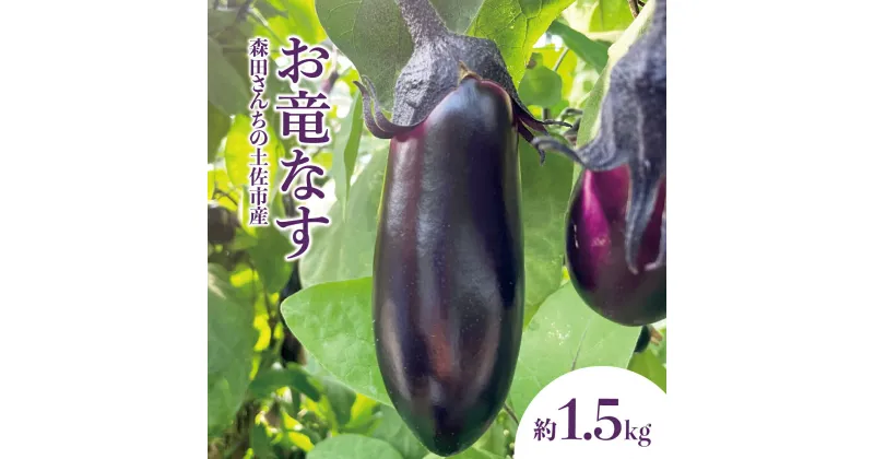 【ふるさと納税】森田さんちの土佐市産お竜なす 約1.5kg 1.5キロ 16~21本 1本約80g 茄子 ナス なすび 野菜 新鮮 焼き茄子 煮浸し 漬物 浅漬け ぬか漬け 味噌汁 おかず 弁当 お取り寄せ 食品 常温 配送 高知県 高知 土佐市 ふるさとのうぜい 故郷納税 返礼品